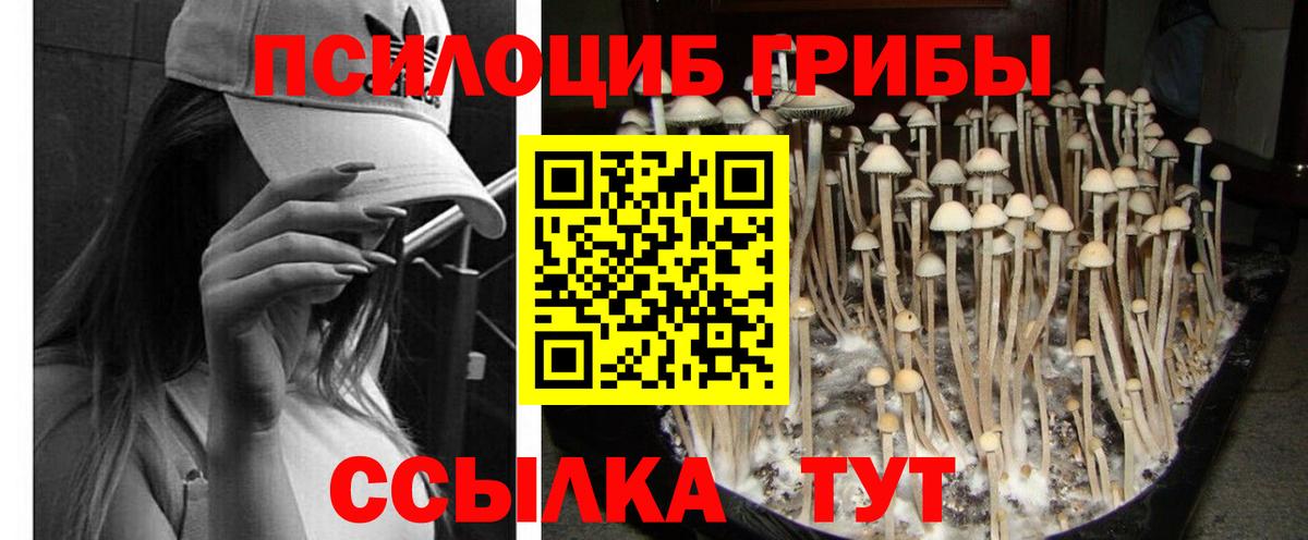 Псилоцибиновые грибы MAGIC MUSHROOMS Заволжье