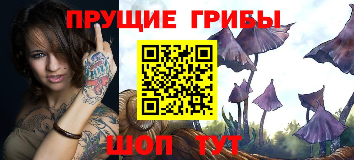 Заволжье  Псилоцибиновые грибы Cubensis  Псилоцибиновые грибы MAGIC MUSHROOMS  Вход с VPN 